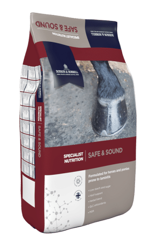 Dodson & Horrell Safe and Sound