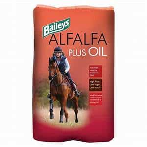 Baileys Alfalfa plus Oil