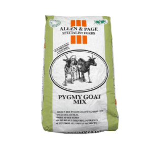 Allen & Page Pygmy Goat Mix