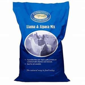 Badminton Llama & Alpaca Mix