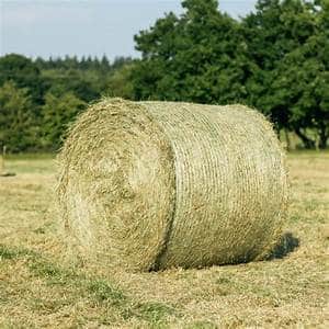 Round Bale Meadow Hay 4ft