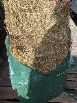 Small bale MEADOW haylage