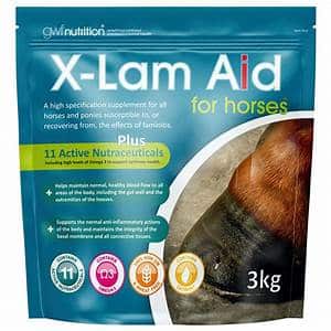 GWF X Lam Aid 3kg