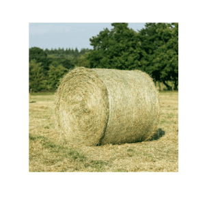 Round Bale Pony Hay