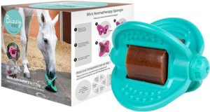 Bizzy Horse Bizzy Ball Aqua