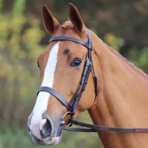 Velociti GARA Plain Bridle Black Full