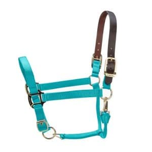 Shires Arma adjustable fieldsafe headcollar Teal COB