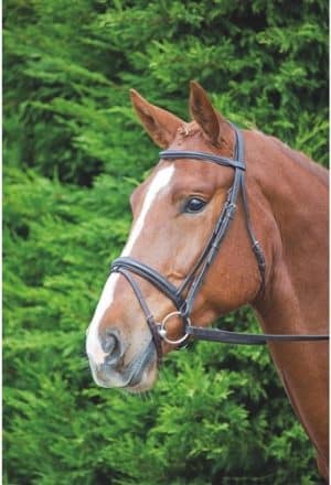 Shires Aviemore Comfort Fit Bridle with Flash Noseband