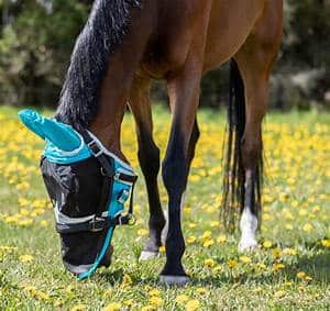 Shires Fly Mask Full face with Ears and Nose, size pony Black