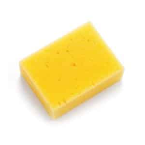 Lincoln Economy Sponge