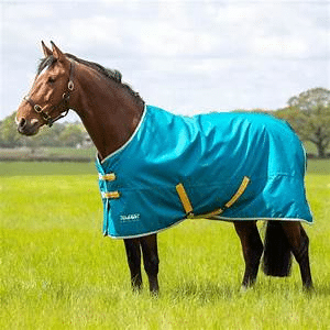 Shires Tempest 50g Turnout Rug