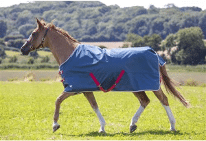 Shires Tempest Lite Turnout Rug
