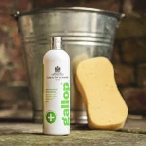 Carr Day & Martin Gallop Medicated Shampoo 500ml
